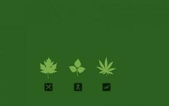 Cannabis Wallpaper Top Background