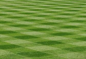 Baseball Field Background Image