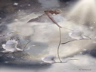 Heron Wallpaper