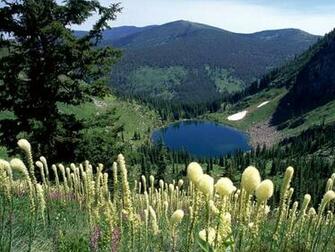 Montana HD Background Wallpaper