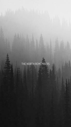 The North Remembers Stark Game Of Thrones