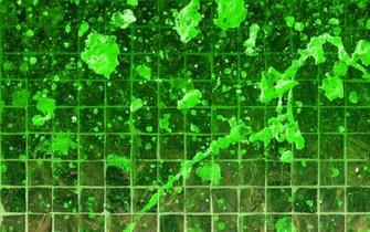 Green Splatter Tile Wallpaper