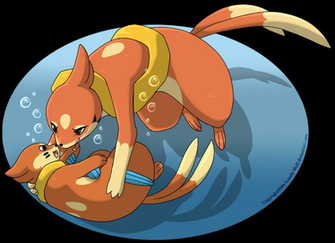 Buizel And Floatzel By Roneri