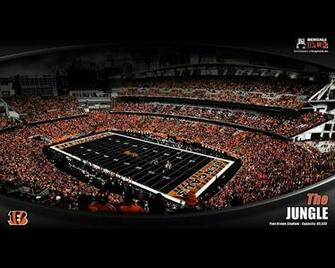 Cincinnati Bengals Wallpaper