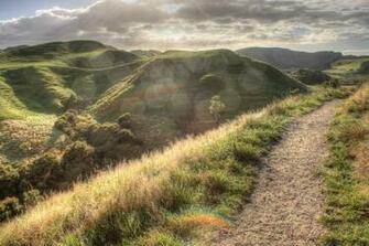 Road To Hobbiton By Marioatawhenua