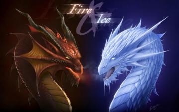 Fantasy Dragon HD Wallpaper And Background