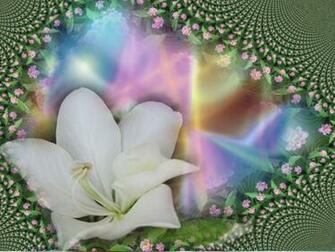 Spring Wallpaper