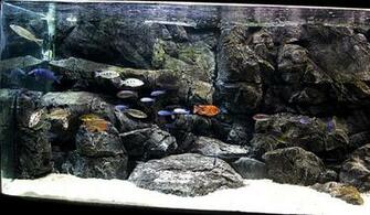 Fish Pangea 3d Aquarium Background