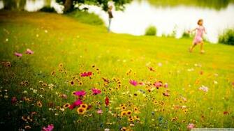 Fields Of Joy Wallpaper