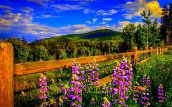 Spring In The Mountains Wallpaper Collective
