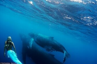 Which Will Feature Her Work As A Mermaid And Sea Life Campaigner