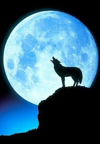 Nothing Found For Wise Up Full Moon In Capricorn July 3rd