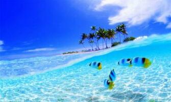 Crystal Clear Water Wallpaper