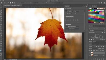 Make A Background Transparent In Photoshop Digital Trends