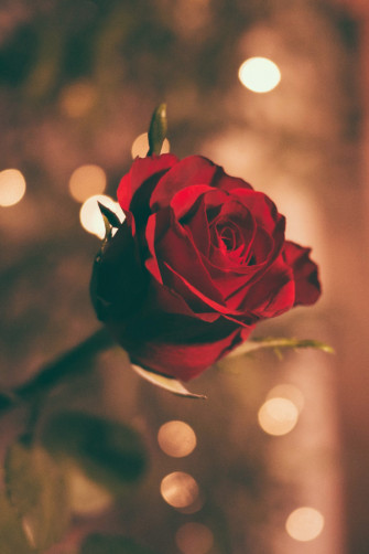 Valentine S Day Aesthetic Wallpaper For Your Phone