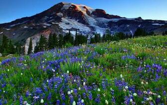 Mount Rainier Wallpaper HD Desktopinhq
