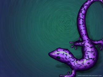 Gecko