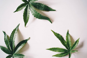 Cool Weed Wallpaper