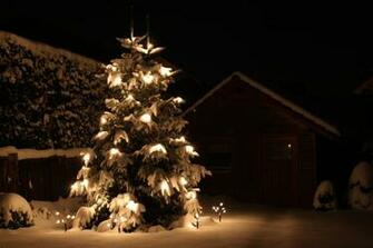 Christmas New Year Deleproject