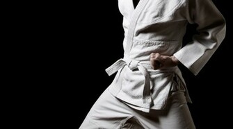 Related For Taekwondo HD Desktop Wallpaper
