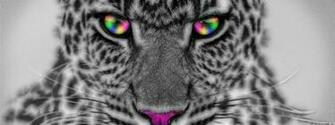 Colorful Cheetah Wallpaper