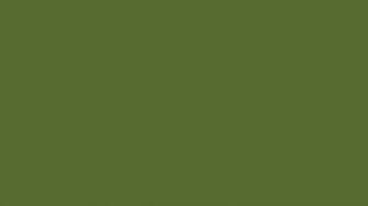 Dark Olive Green Beret Tam Dreadlock Hippie Beanie Hat Pictures