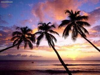 Nature Kings Beach West Coast Barbados Indies Picture Nr