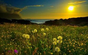 Dream Wallpaper HD Field Sky Desktop