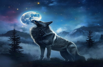 Howling Wolf Wallpaper