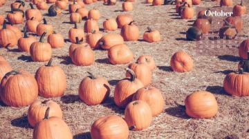 October Calendar Wallpaper Best Desktop Phone Background