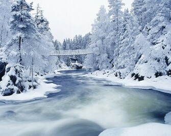 Set As Desktop Background Wallpaper Photography Archive