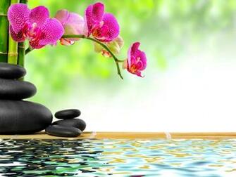 Bambou Et Pierres Zen Wallpaper