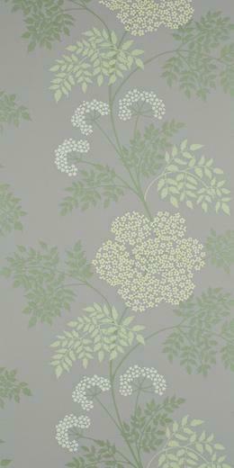 Sanderson Options Wallpaper Cow Parsley Dopwco