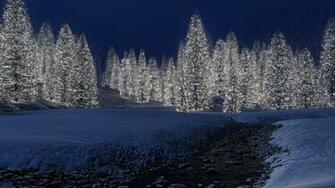 Wallpaper New Year Trees Snow 4k Ultra HD