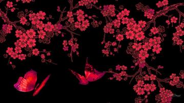 Pink Flowers And Butterflies By Madonna
