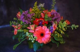 Wallpaper Gerbera Alstroemeria Bouquet Flowers Herbs