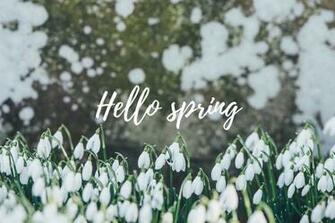 Spring Desktop Image D E S I G N