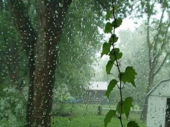 Animated Raining Wallpaper