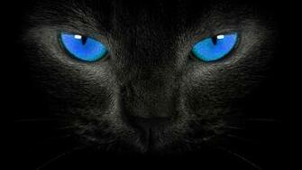 Description Black Cat Eyes Wallpaper Is A Hi Res For Pc