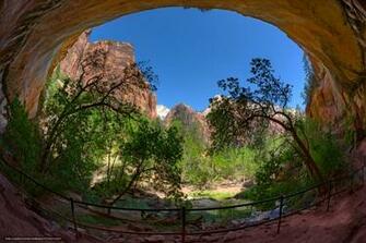 Wallpaper Zion National Park Surrounded Mountains Trees