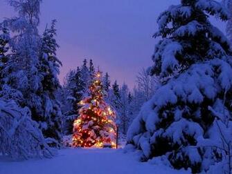 Christmas Snow Trees Background Christian Wallpaper