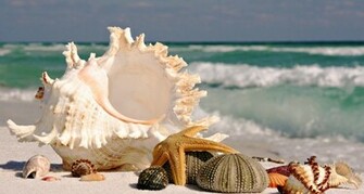 Amazing Nature HD Wallpaper 1080p