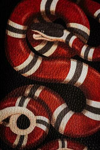 Take A Chic Walk On The Wild Side With Gucci Cruise