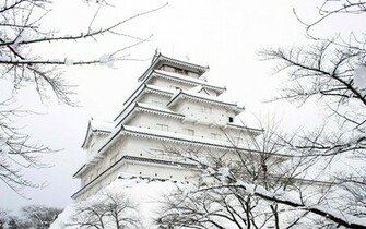 Japan The Castle Snow Winter Garden Wallpaper