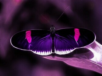 Nice Purple Wallpaper