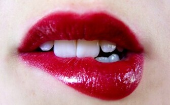 Love Kiss HD Full Wallpaper Butterbin