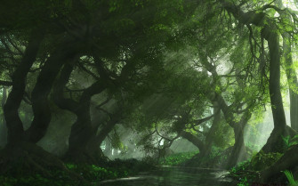 Green Forest Wallpaper