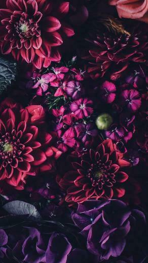 Blumen iPhone Wallpaper Von Preppywallpaper Flowers