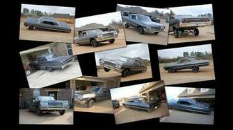 Impala Background