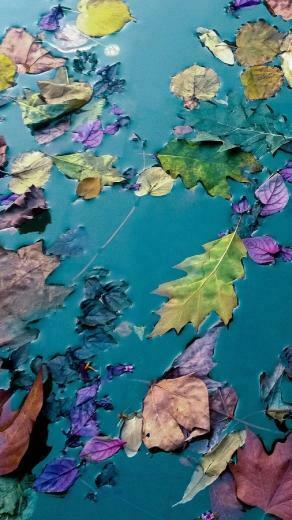 Lumia Wallpaper Pack HD